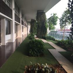 Jardin (D21), Condominium #38135132